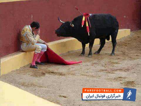 گاوبازی صحنه ای که آلوارو مونرو، ماتادور معروف اسپانیایی را به گریه انداخت
