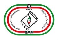 اسکیت