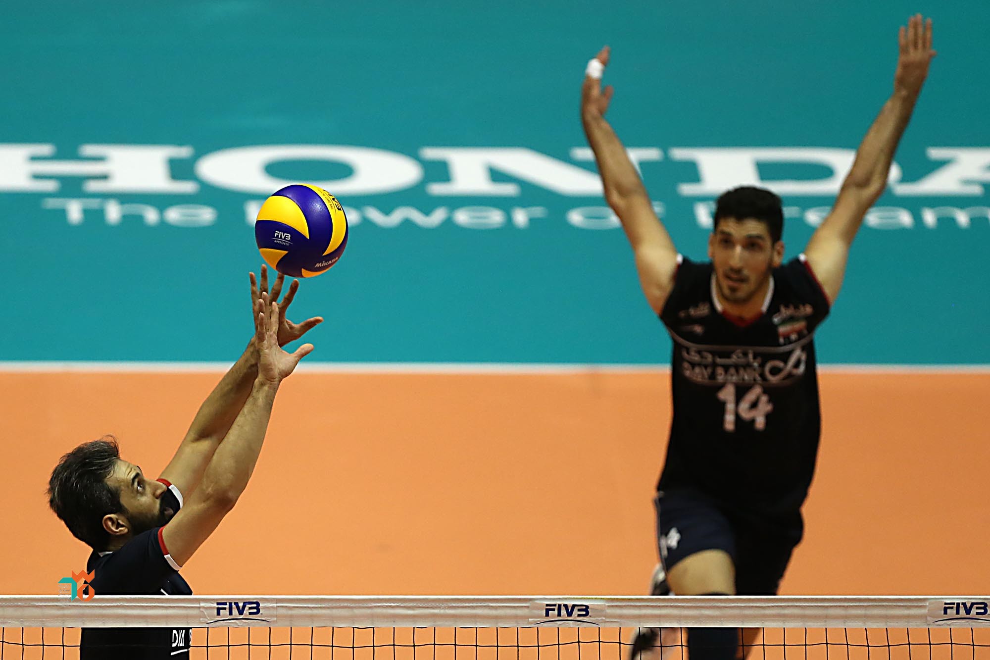 محمدجواد معنوی نژاد تیم ملی والیبال