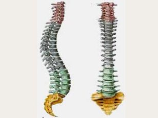 بررسی علل و عوارض گودی کمر