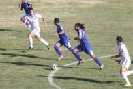 میلاد امیری