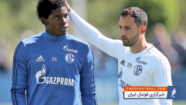 تدسکو :گورتسکا در شالکه می ماند