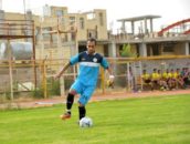 هانی اسماعیلی