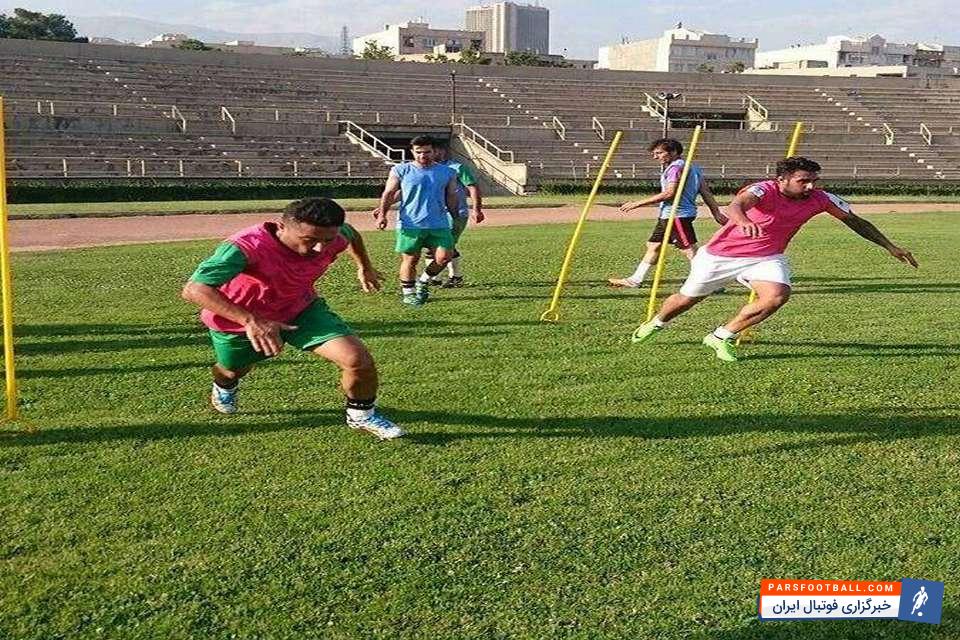 میلاد میداوودی