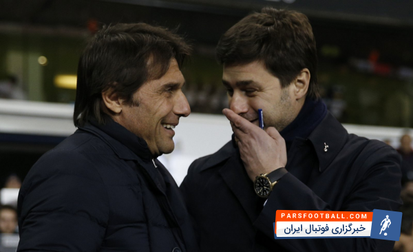 گل زیبای پوچتینو