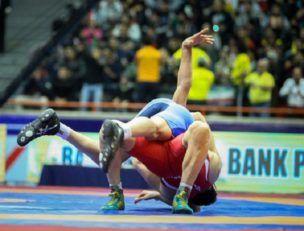 محمدحسن محبی