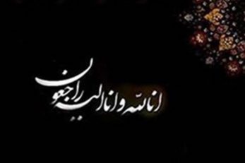 امیر محمدی مدنی