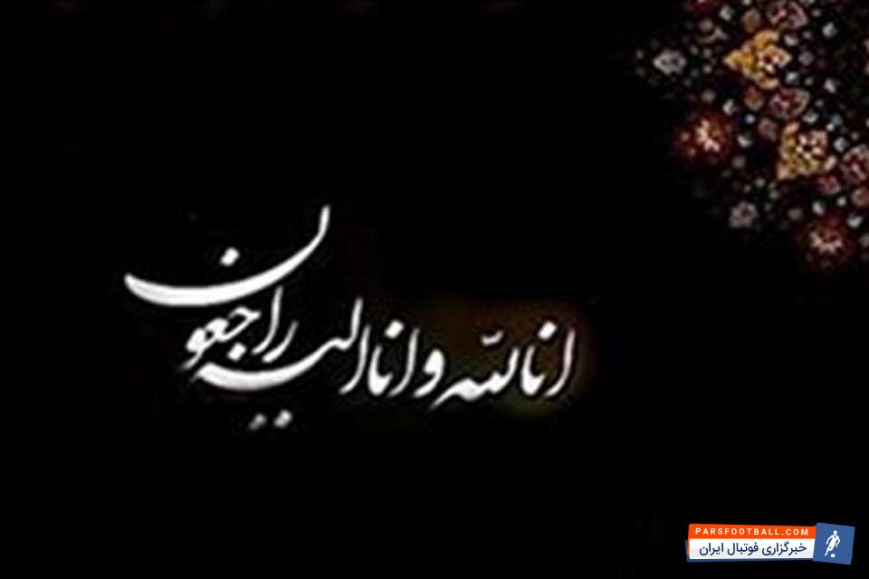 امیر محمدی مدنی