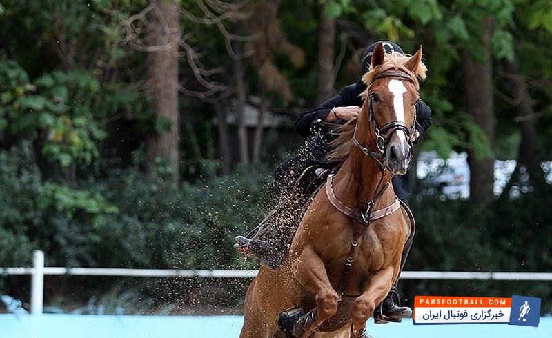 داود پوررضایی