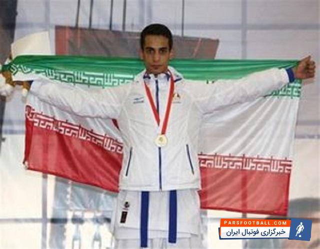 هامون درفشی‌پور