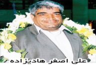 علی اصغر هادی زاده