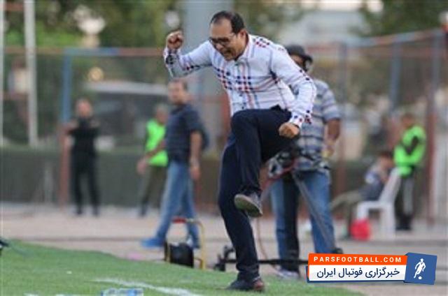 محمد ربیعی