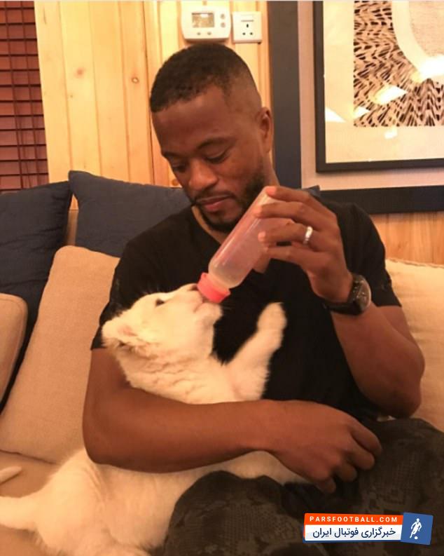 اورا در حال شیر دادن به شیر