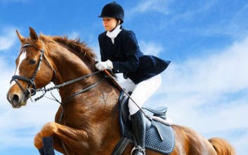 اسب سواری بانوان اسب سواری دختران