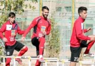 نماینده باشگاه از صبح دوشنبه راهی سازمان نظام وظیفه عمومی شد تا بتواند نامه پایان خدمت احمد نوراللهی را دریافت کند. این نامه در نهایت ظهردوشنبه صادر شد.