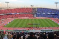 سرخابی های پایتخت