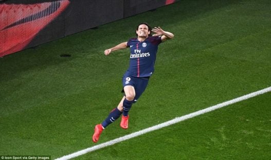 ادینسون کاوانی