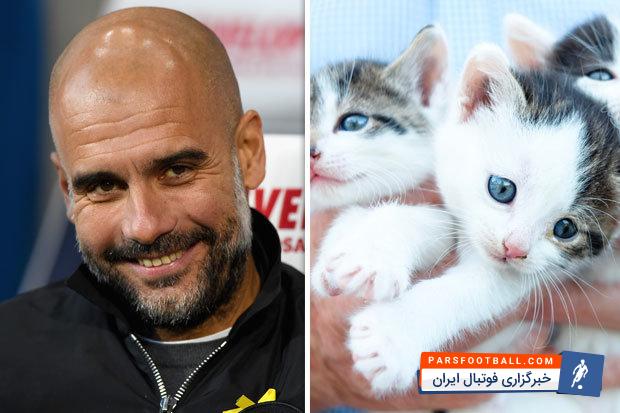 پپ گواردیولا سرمربی اسپانیایی منچسترسیتی