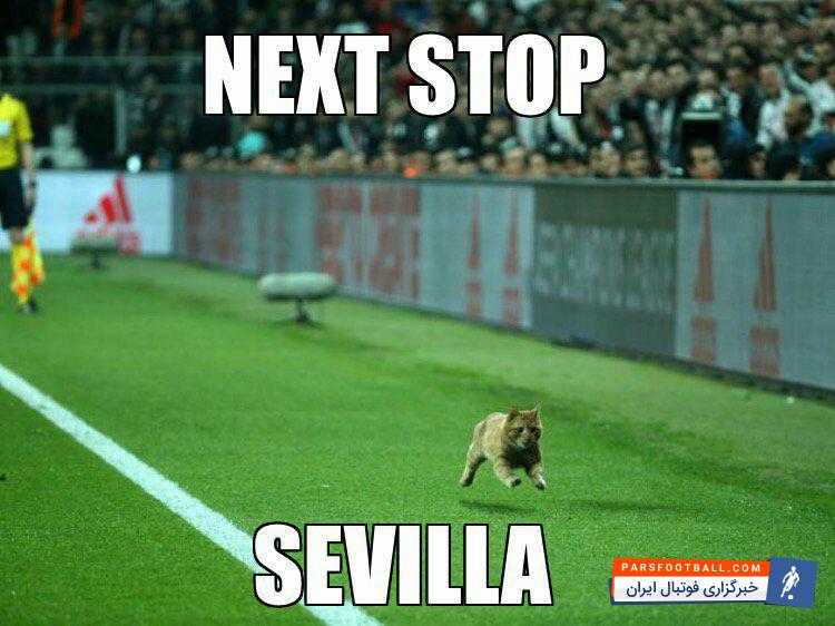 توییتر بایرن مونیخ