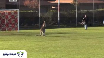 جام جهانی ؛ فیلم ؛ بازیگوشی کانگورو در زمین فوتبال در کشور استرالیا