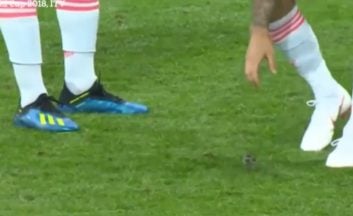 تیم ملی اسپانیا ؛ نجات جان پرنده ازسوی ایسکو و پیکه در جریان بازی ایران و اسپانیا در جام جهانی