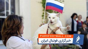 گربه ی پیشگوی جام جهانی