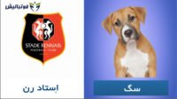 لقب های برگرفته از نام حیوانات باشگاه های فوتبال
