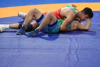 محمدرضا گرایی