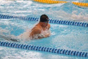 مهدی انصاری