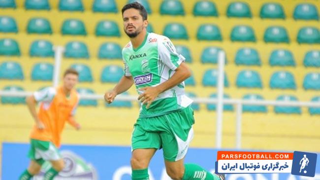 داوید ساکونی