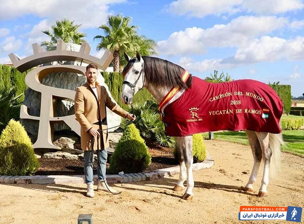 رئال مادرید