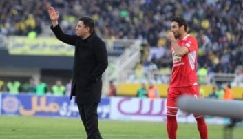 امیر قلعه‌نویی