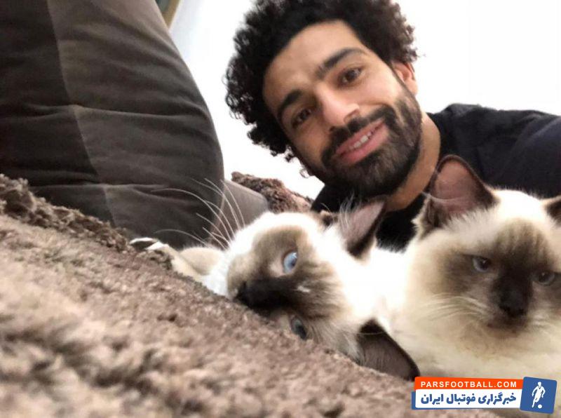 ملحق شدن محمد صلاح به کمپین اعتراض به صادرات گربه ها و سگ ها