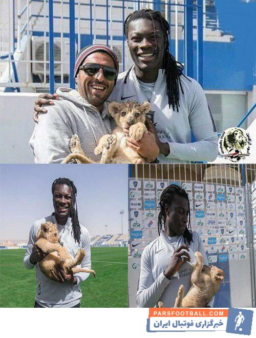 گومیس ، بازیکن فرانسوی باشگاه الهلال به عنوان آقای گلی لیگ عربستان هم دست یافته است گومیس یک توله شیر به عنوان هدیه از رئیس باشگاه گرفت.