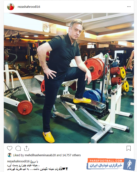 رضا شاهرودی