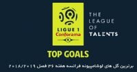 لوشامپیونه ؛ 5 گل برتر هفته 36 رقابت های لیگ فرانسه فصل 2018/2019