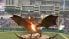 ورود اژدها به افتتاحیه مسابقه بیسبال در کره جنوبی ؛ پارس فوتبال
