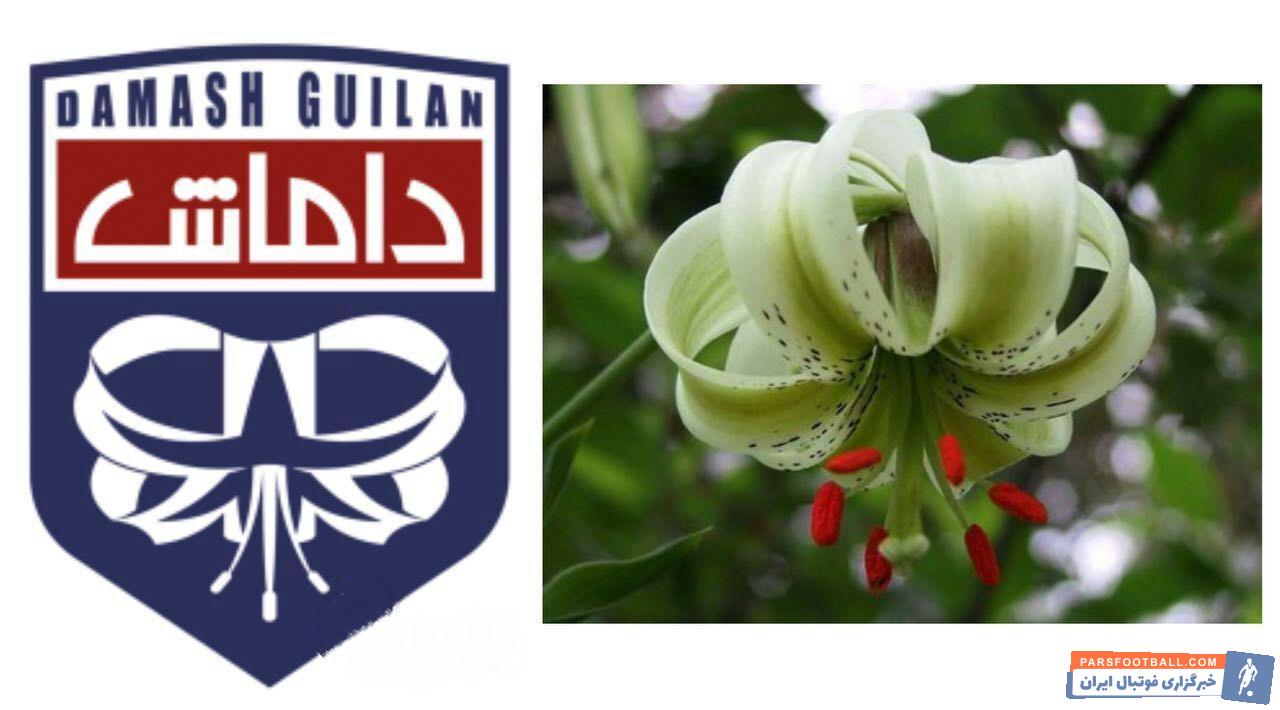 داماش گیلان یکی از تیم های ریشه دار استان گیلان است که در لیگ برتر با نام پگاه گیلان بازی می کرد لوگوی تیم داماش گیلان الگوبرداری شده از گل سوسن چلچراغ است.