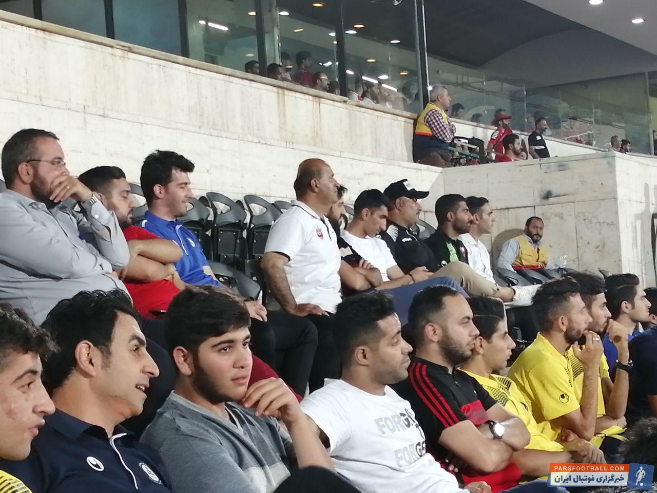 وحید هاشمیان