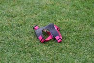 تراکتور ؛ شادی رضا اسدی پس از گلزنی برابر فولاد در ورزشگاه یادگار امام