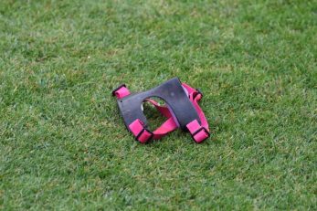 تراکتور ؛ شادی رضا اسدی پس از گلزنی برابر فولاد در ورزشگاه یادگار امام