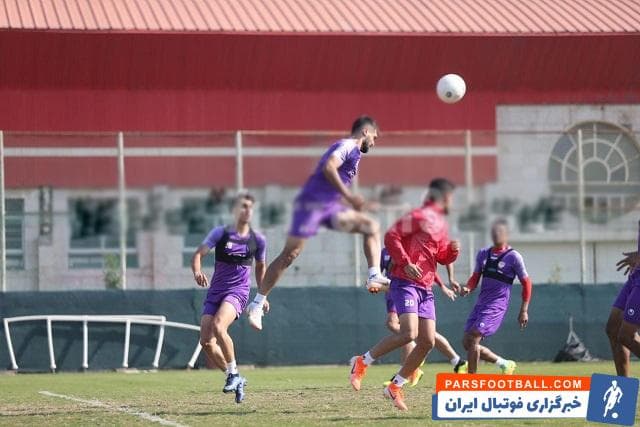 سینا زامهران، عارف آقاسی و مجتبینجاریان