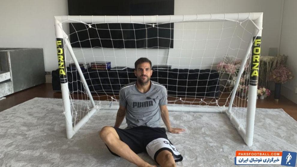 سسک فابرگاس