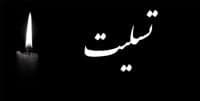 علیرضا بیرانوند دروازه بان محبوب باشگاه فوتبال پرسپولیس و تیم ملی فوتبال کشورمان در غم از دست دادن پدر همسر خود عزادار شد.