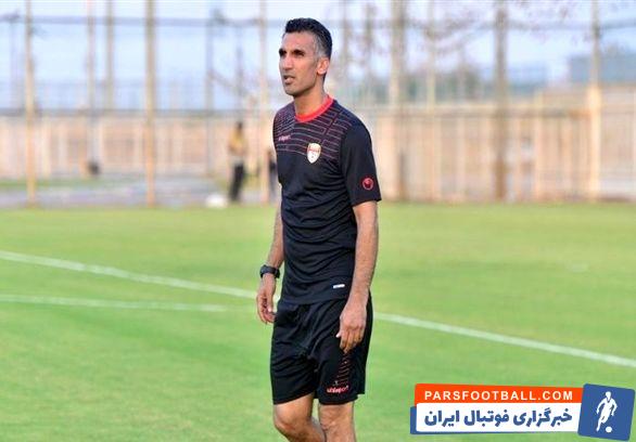 مهدی هاشمی‌نسب