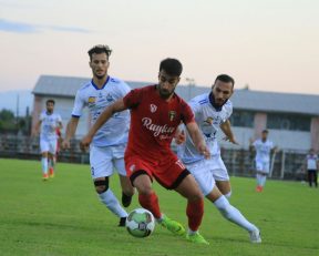 مهرداد حیدری