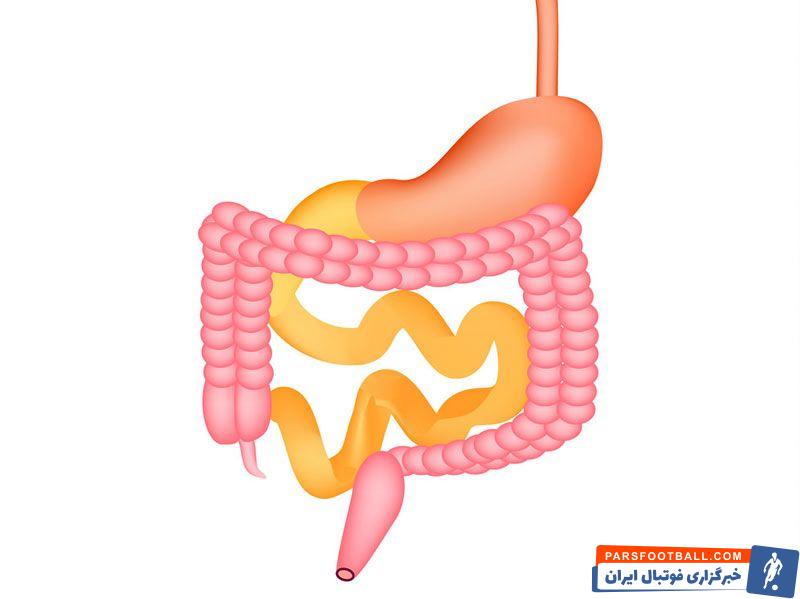 نکاتی برای سلامتی دستگاه گوارش