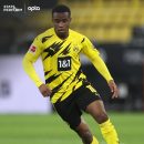 تاریخ سازی یوسف موکوکو