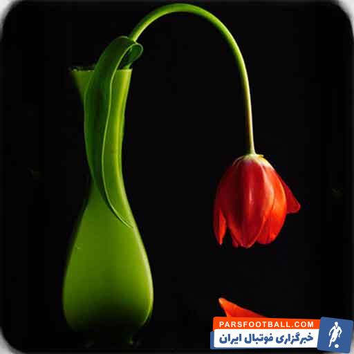 دلیل علاقه به آهنگ های غمگین چیست؟