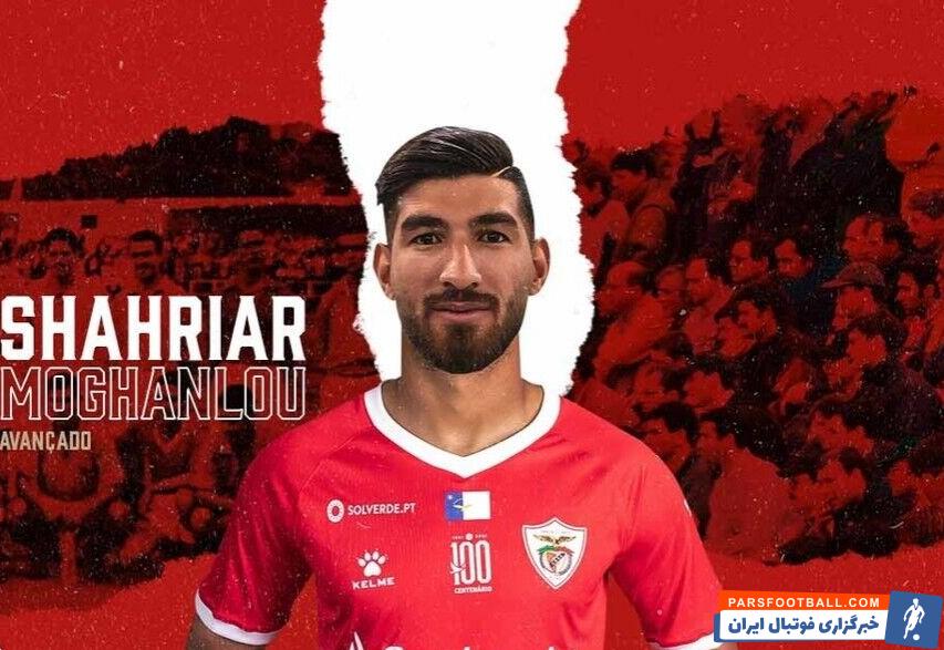 پاسخ باشگاه پرسپولیس به شایعه مذاکره با شهریار مغانلو